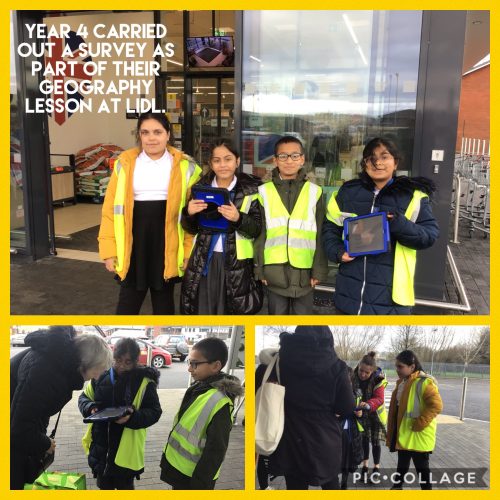 Fieldwork in Year 4.