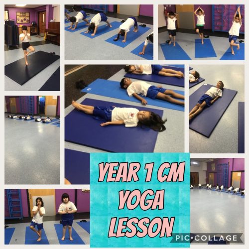 Y1 yoga